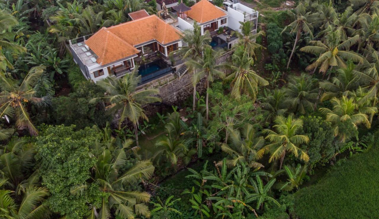The Shea Ubud Tranquility Villa With Private Pool Kültér fotó